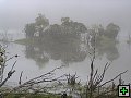 thn_NZ leden-unor 2006 300.jpg